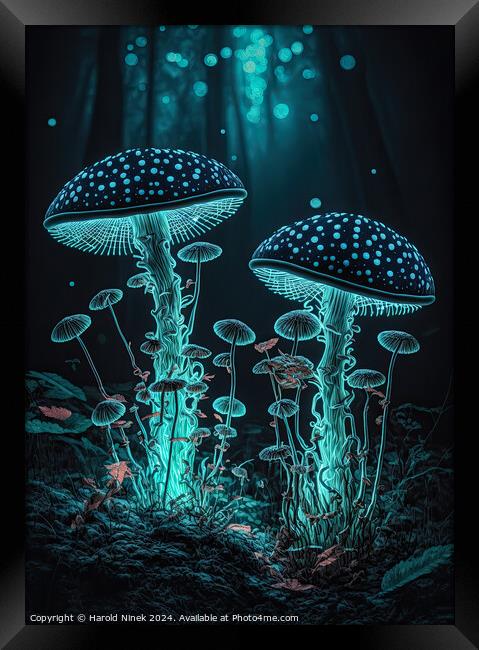 Radiant Fungi II Framed Print by Harold Ninek