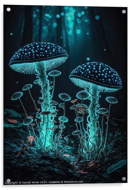 Radiant Fungi II Acrylic by Harold Ninek