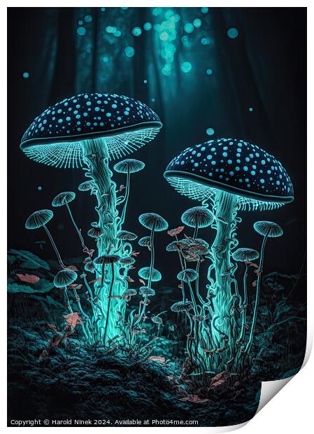 Radiant Fungi II Print by Harold Ninek