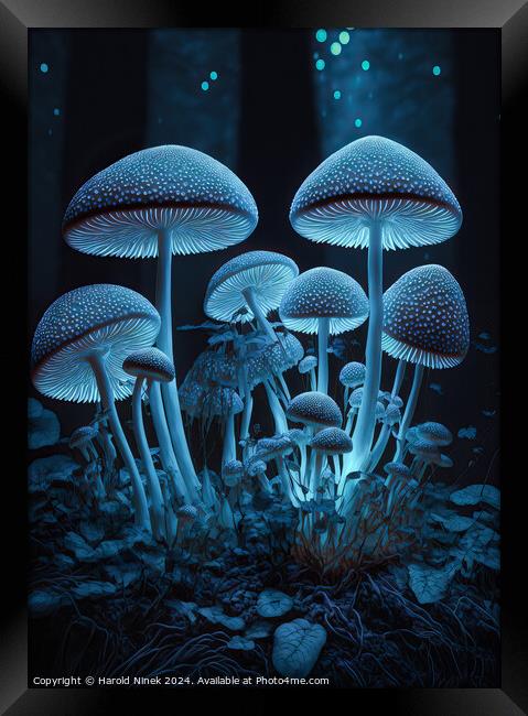 Radiant Fungi I Framed Print by Harold Ninek