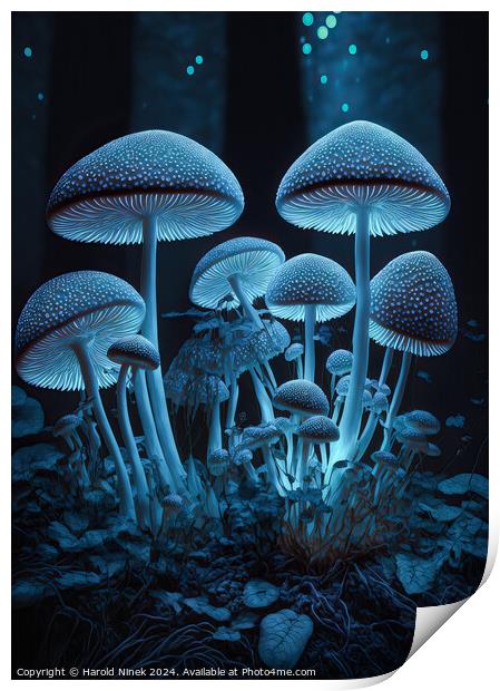 Radiant Fungi I Print by Harold Ninek
