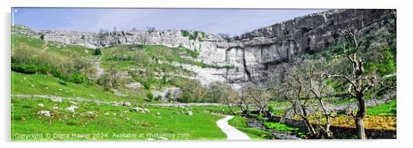 Malham Cove and beck Panoramic View Acrylic by Diana Mower