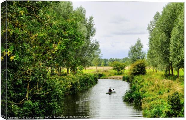 Chelmer and Blackwater kayaking  Canvas Print by Diana Mower