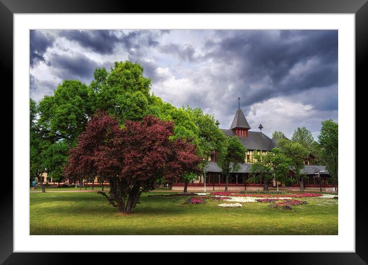 The Great park Palic Framed Mounted Print by Dejan Travica