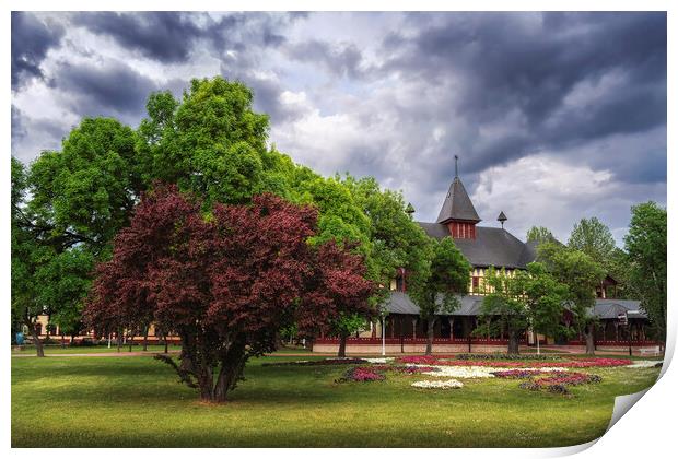 The Great park Palic Print by Dejan Travica