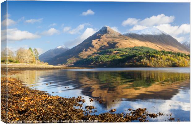 The Pap of Glencoe Canvas Print by Mark Greenwood