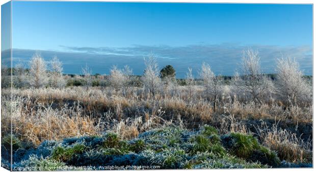 A Frosty Morning Canvas Print by Tom McPherson