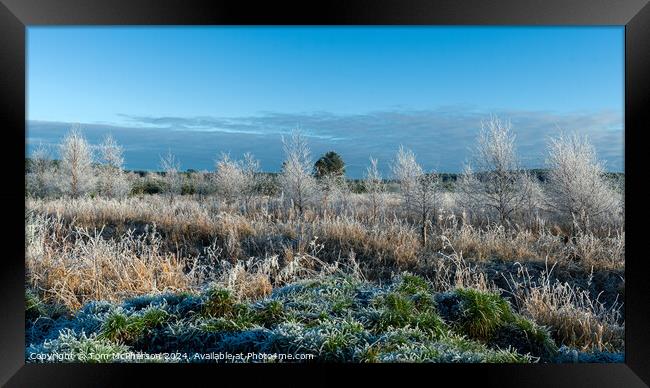 A Frosty Morning Framed Print by Tom McPherson