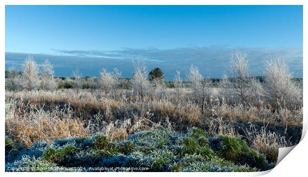 A Frosty Morning Print by Tom McPherson