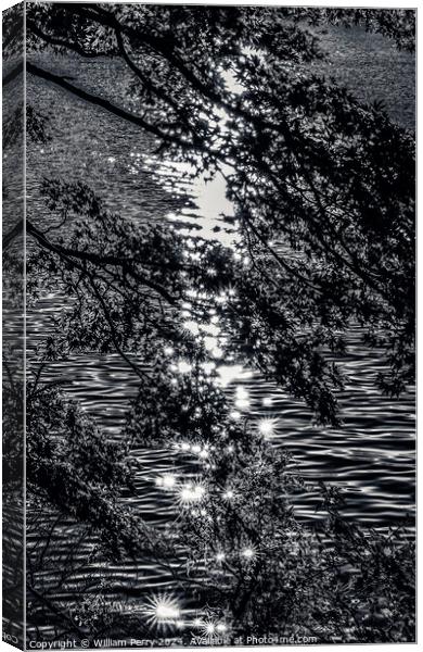 Black White Lake Ashiniko Water Reflection Abstract Hakone Kanag Canvas Print by William Perry