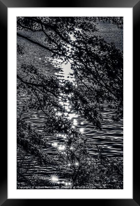 Black White Lake Ashiniko Water Reflection Abstract Hakone Kanag Framed Mounted Print by William Perry