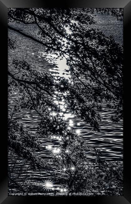 Black White Lake Ashiniko Water Reflection Abstract Hakone Kanag Framed Print by William Perry