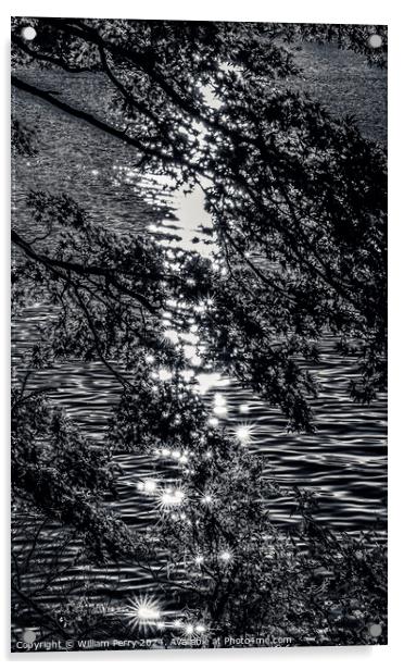 Black White Lake Ashiniko Water Reflection Abstract Hakone Kanag Acrylic by William Perry