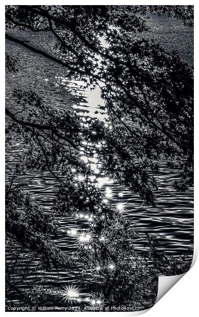Black White Lake Ashiniko Water Reflection Abstract Hakone Kanag Print by William Perry