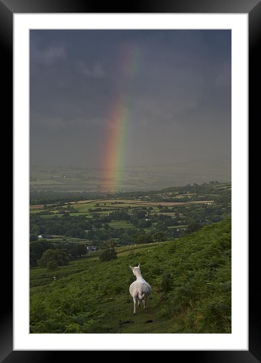 Watching the rainbow Framed Mounted Print by Creative Photography Wales