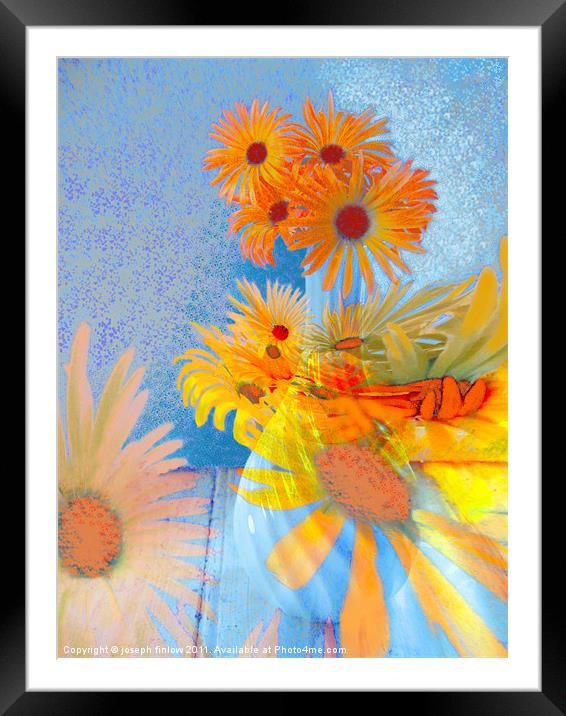 floral abstract Framed Mounted Print by joseph finlow canvas and prints