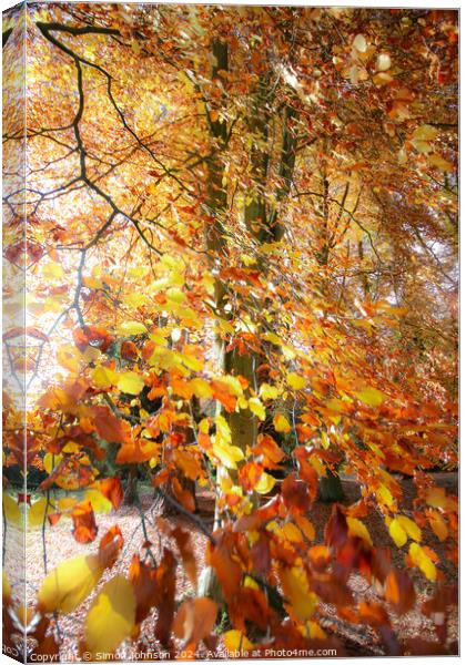 A close up of a tree Canvas Print by Simon Johnson