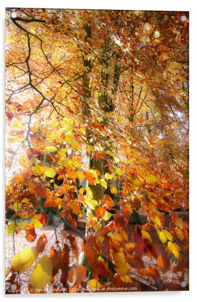 A close up of a tree Acrylic by Simon Johnson
