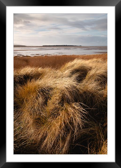 Hilbre Through the Dunes Framed Mounted Print by Liam Neon