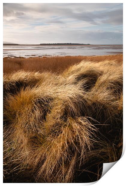 Hilbre Through the Dunes Print by Liam Neon