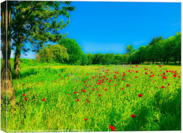 Poppy Day Canvas Print by Ian Donaldson