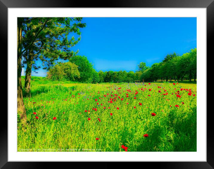 Poppy Day Framed Mounted Print by Ian Donaldson