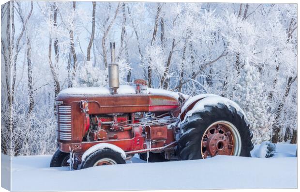 Old Tractor in the Snow Canvas Print by Dave Reede