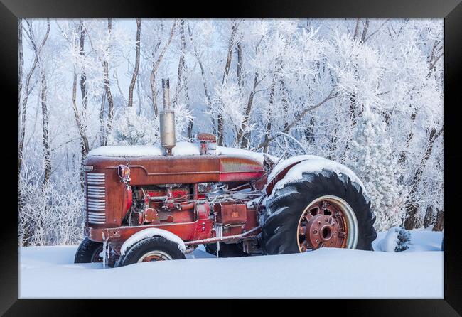Old Tractor in the Snow Framed Print by Dave Reede