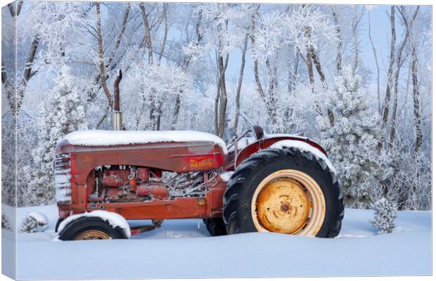 Tractor Canvas Print by Dave Reede