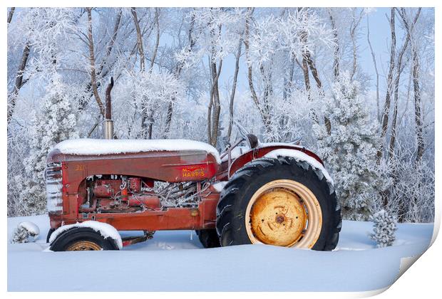 Tractor Print by Dave Reede