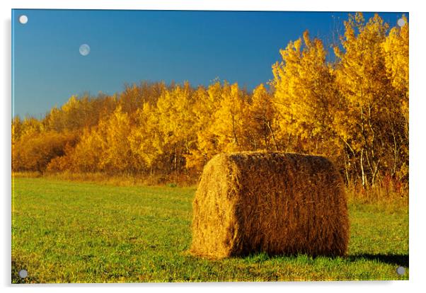 Hay Bale Acrylic by Dave Reede