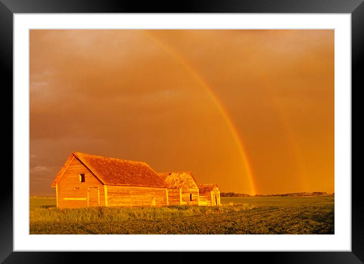 rainbow over old granaries Framed Mounted Print by Dave Reede
