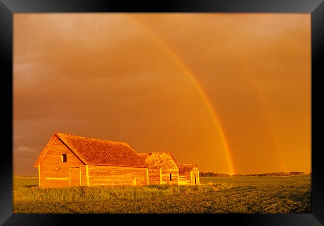 rainbow over old granaries Framed Print by Dave Reede