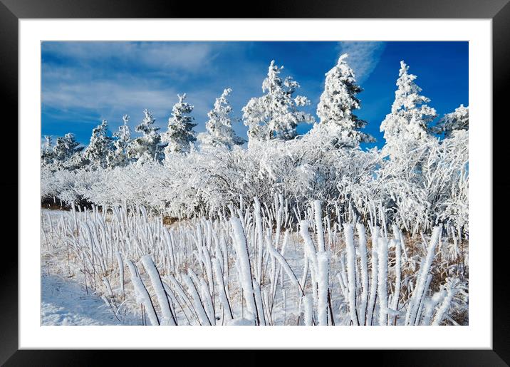 Winter Landscape Framed Mounted Print by Dave Reede