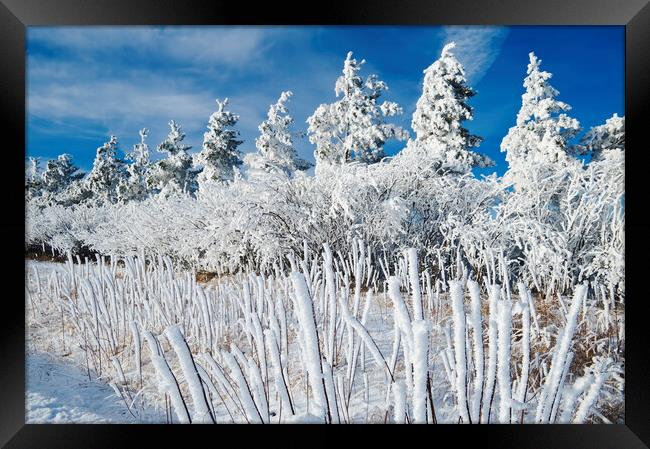 Winter Landscape Framed Print by Dave Reede