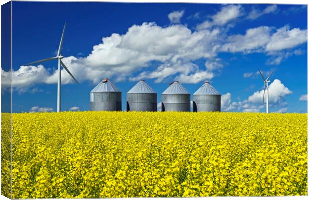 bloom stage canola field with grain storage bins Canvas Print by Dave Reede