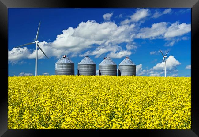 bloom stage canola field with grain storage bins Framed Print by Dave Reede