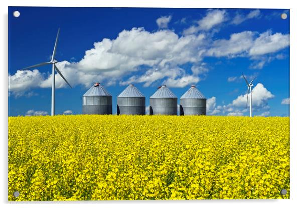 bloom stage canola field with grain storage bins Acrylic by Dave Reede