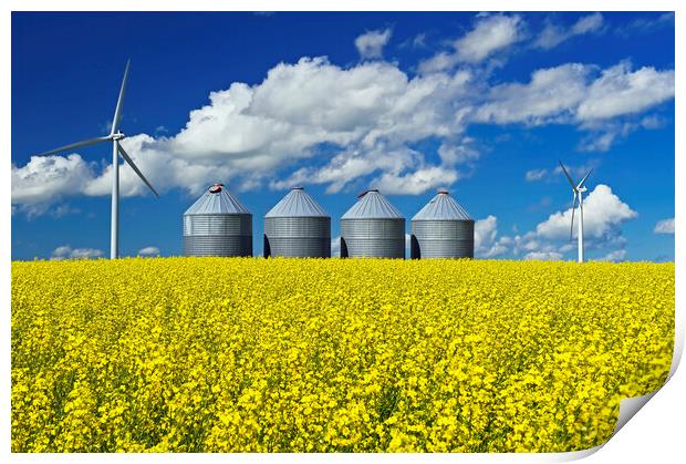 bloom stage canola field with grain storage bins Print by Dave Reede
