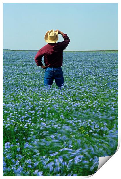 Man in Flax field Print by Dave Reede
