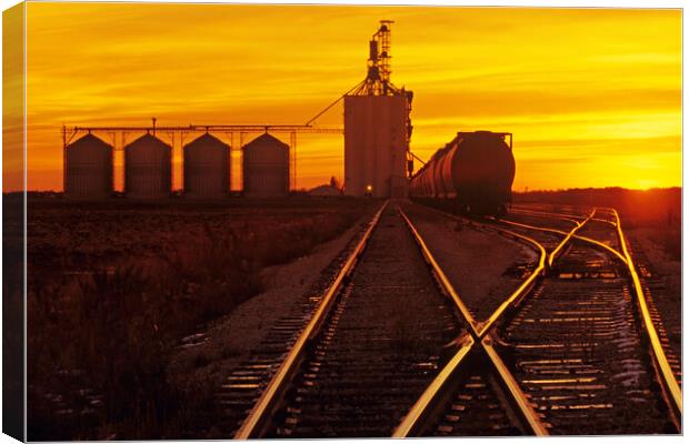 inland grain terminal Canvas Print by Dave Reede