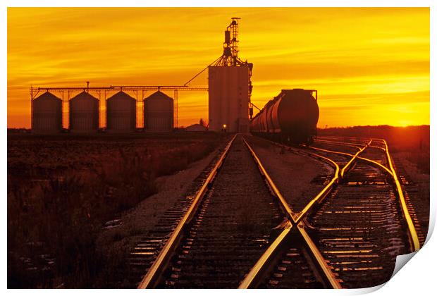 inland grain terminal Print by Dave Reede