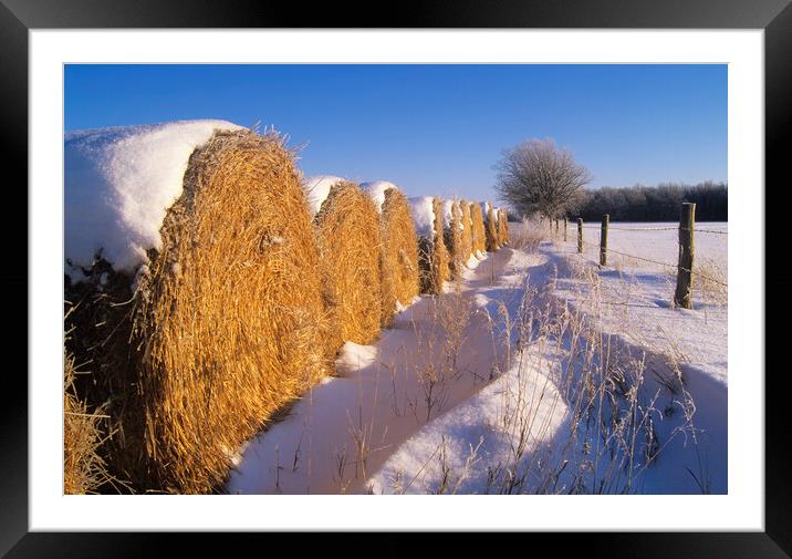 straw bales at the edge of farmland Framed Mounted Print by Dave Reede