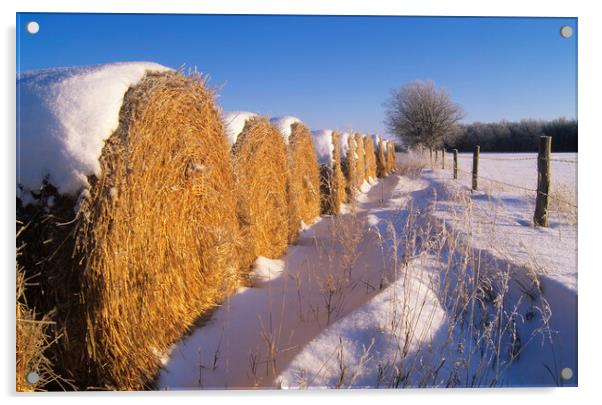 straw bales at the edge of farmland Acrylic by Dave Reede