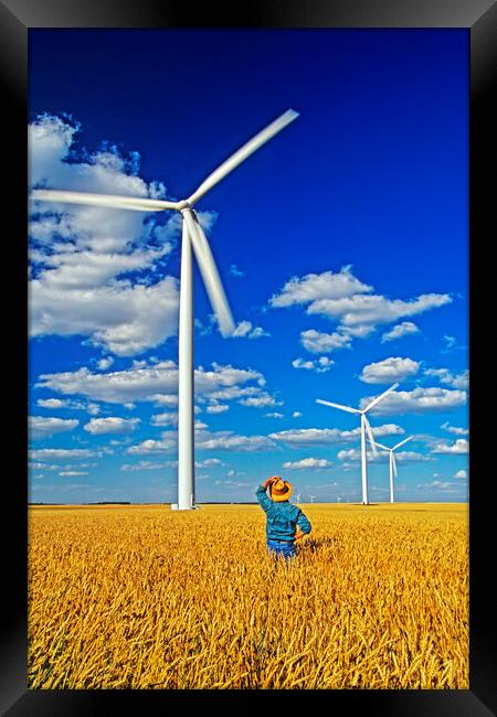 man in spring wheat field viewing wind turbines Framed Print by Dave Reede