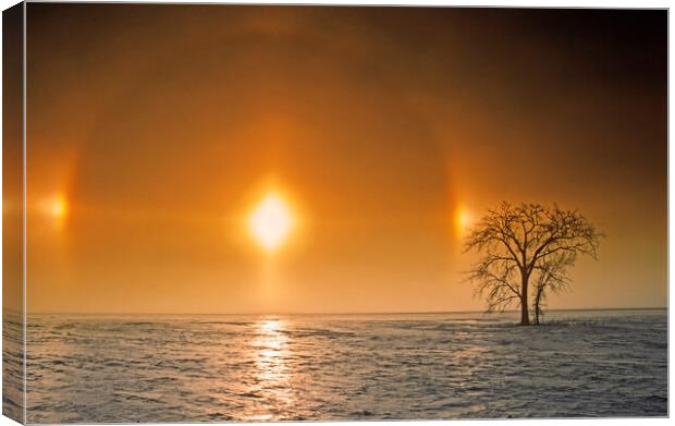 sundog in afternoon sky Canvas Print by Dave Reede