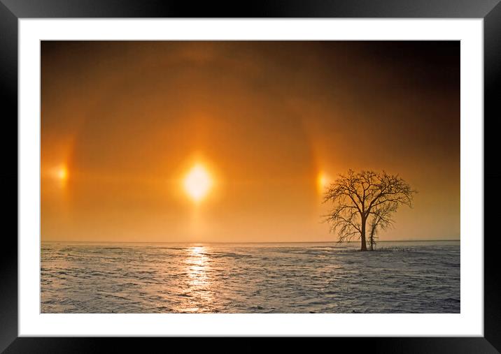 sundog in afternoon sky Framed Mounted Print by Dave Reede