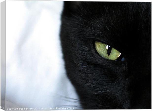 house panther Canvas Print by Jo Beerens