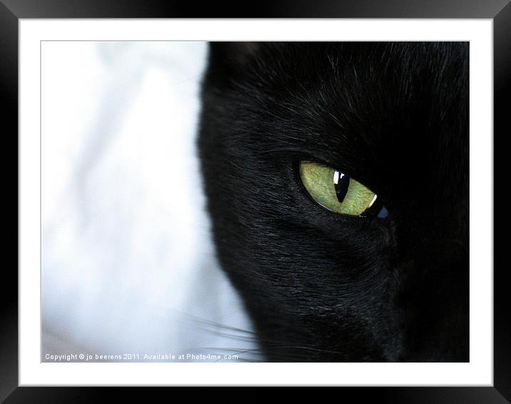 house panther Framed Mounted Print by Jo Beerens
