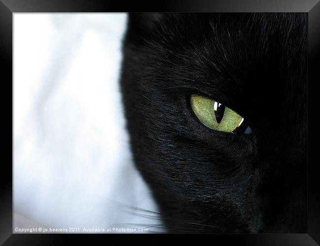 house panther Framed Print by Jo Beerens